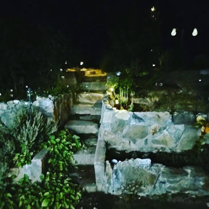 فيلا O'Brien'S Oasis Miramonte المظهر الخارجي الصورة